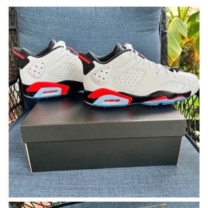 BRAND NEW Jordan Retro 6 G